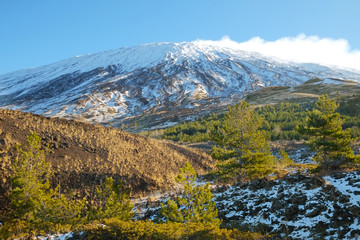 Wall Mural - Snowy Etna National Park, Sicily