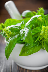 Canvas Print - Basil