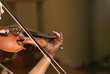 © mnimage - Violinist
