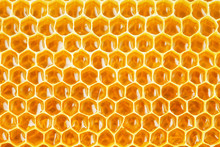 Honeycomb Cells Natural Background