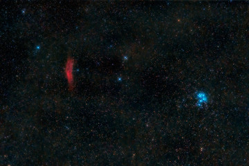 Wall Mural - Pleiades Star Cluster and the California Nebula