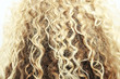 Curly dry hair