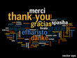 © high_resolution - Conceptual thank you word cloud