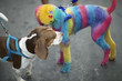 Dog Painted Bright Colors at Rio Animal Carnival