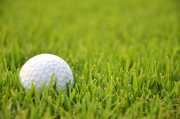 Dirty golf ball on the grass