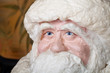 © strannik_fox - Portrait of toy Santa Claus