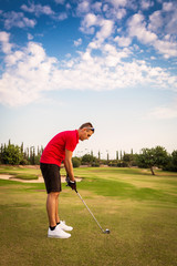 Wall Mural - man on the golf course