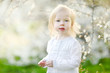 © MNStudio - Adorable toddler girl in blooming cherry garden