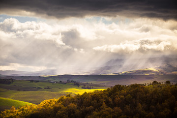 Wall Mural - Tuscan Hills