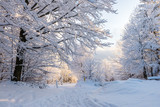 Fototapeta Krajobraz - Piękna zima w polskich górach - Beskidy