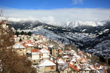 Fototapeta Miasta - metsovo Mountainside alp Village with snow and trees in greece