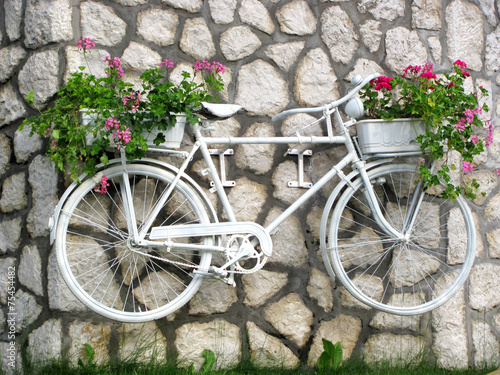 kwitnie-na-bialym-bicyklu-na-ogrodzie
