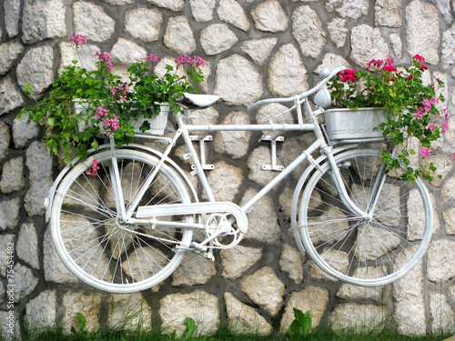 Obraz w ramie Flower on a white bicycle on garden