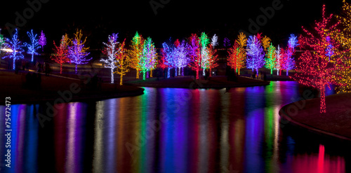 Fotomural Trees tightly wrapped in LED lights for the Christmas holidays r