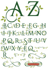 ornate alphabet of vector letters with leaf design and ornaments