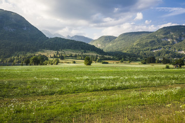 Slovenian Landscape