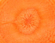 Close up of orange carrot slice center