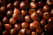 Pile of chestnut