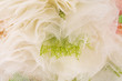 abstract tulle background