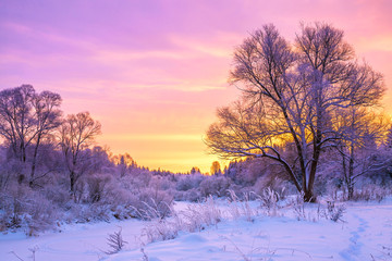 Canvas Print - winter landscape with sunset and the  forest