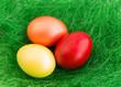 Colorful eggs on green background