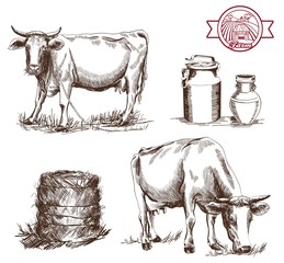 cow and milk products