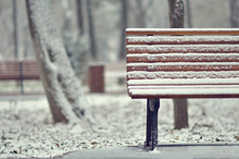 Simple Wooden Bench In Snowy White Landscape