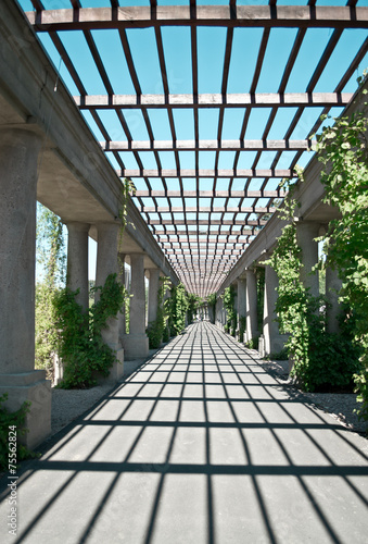 Fototapeta na wymiar Wroclaw pergola