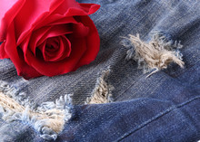 Red Rose Flower On Blue Jeans Denim Texture