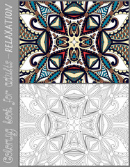 Wall Mural - unique coloring book page for adults - flower paisley design