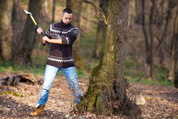 Lumberjack cutting the tree with axe in the forest