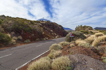 Wall Mural - el teide road