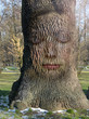 woman's face embedded in the bark of the tree