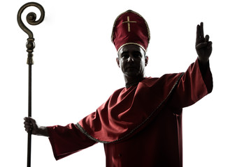 man cardinal bishop silhouette saluting blessing