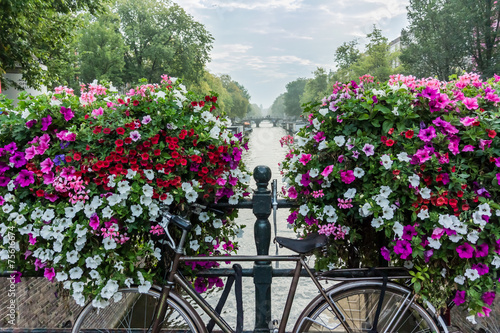 Obraz w ramie Bicycle and Flowers Over Canal in Amsterdam