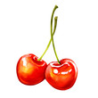 Two ripe sweet red cherry berries isolated
