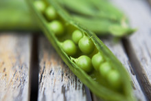 Garden Peas, Freshly Picked With Open Pods And Bright Green Peas. 