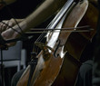 A cellist in concert
