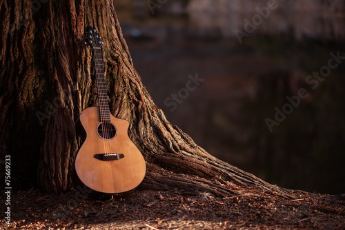 Fotografie, Tablou  Wooden Acoustic Guitar