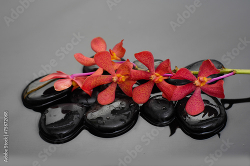 Fototapeta na wymiar still life with black pebbles and red branch orchid