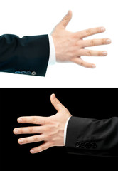 Wall Mural - Caucasian hand in a business suit isolated