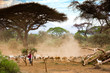 Masai animals