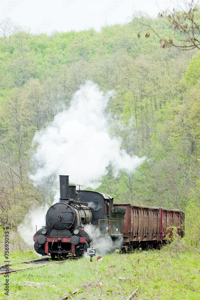 steam freight train (126.014), Resavica, Serbia - obrazy, fototapety, plakaty 