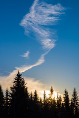 Wall Mural - blue sunset sky