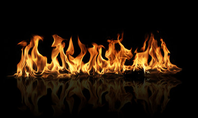 Wall Mural - Fire flames on black background