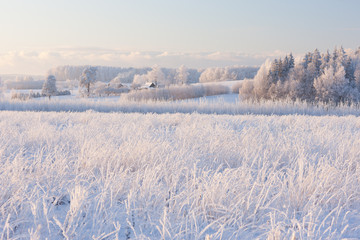 Rural winter landscape with white frost on field and forest