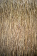 thatch roof