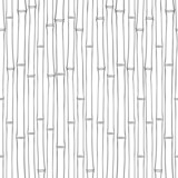Seamless  bamboo pattern.  Black and white vector illustration.