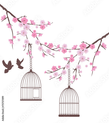 Plakat na zamówienie Klatki z ptakami na dwóch gałęziach 