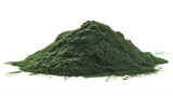 Fototapeta  - Spirulina algae powder